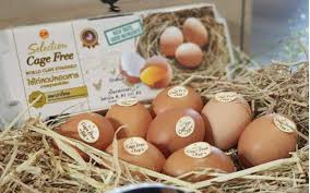 Cage free eggs